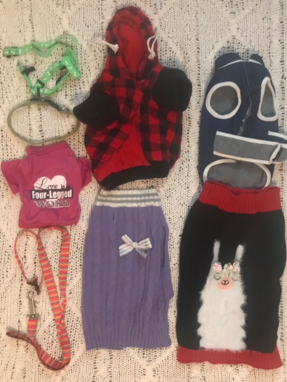Bundle lot deal of dog harness, leash, collars, sweaters, shirt, and coats - it